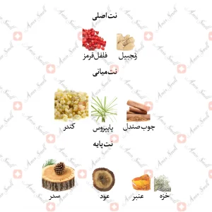 ادکلن مردانه بنتلی ابسولوت جانوین