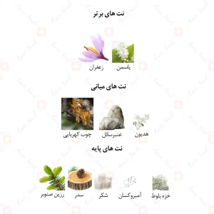 ادکلن یونیسکس 169 مارکیو باکارات رژ