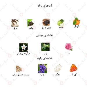 ادکلن زنانه جنیفر لوپز استیج جانوین