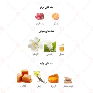 ادکلن زنانه مارکیو 174 گران بالو 25 میل