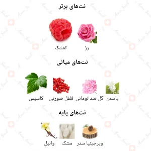 ادکلن زنانه مارکيو 113 لانکوم ترزور ميدنايت رز 25 میل