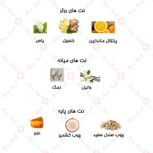 ادکلن زنانه مارکيو 116 پاکو رابان المپيا 25 میل