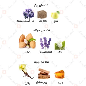 ادکلن مردانه مارکيو 117 پارفومز د مارلي پگاسوس 25 میل