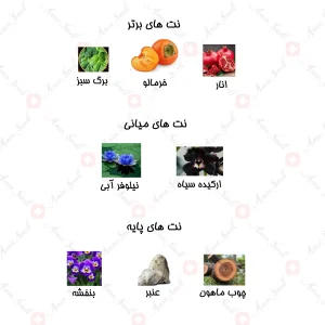 ادکلن زنانه مارکيو 119 کلوين کلاين ايفوريا 25 میل