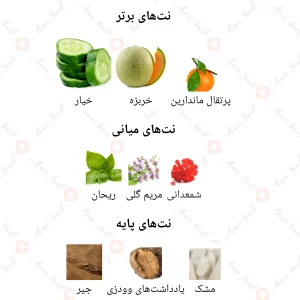 ادکلن مردانه مارکيو 152 رالف لورن پولو آبي 25 میل