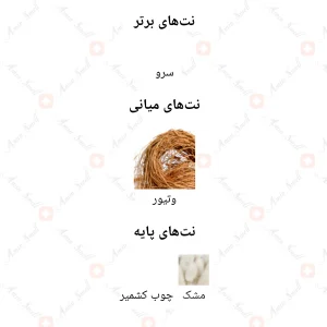 ادکلن مردانه مارکيو 204 لالیک انکر نویر 25 میل