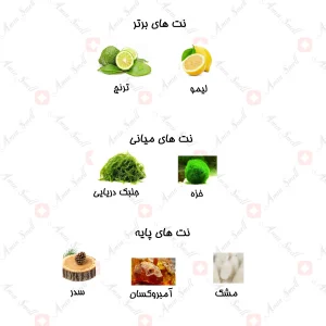 ادکلن یونیسکس مارکيو 234 اورتو پاريسي مگاماره 25 میل