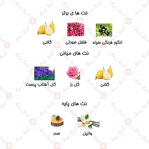 ادکلن زنانه مارکيو 235 جورجيو آرماني سي پشن 25 میل