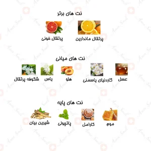 ادکلن زنانه مارکيو 236 ژان پل گوتيه 25 میل