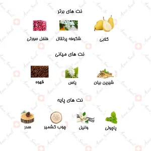 ادکلن زنانه مارکيو 109 ايو سن لورن بلک اپيوم 25 میل