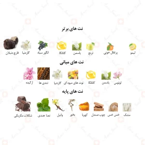 ادکلن زنانه مارکیو 134 بلک ارکید 25 میل