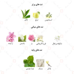 ادکلن زنانه مارکیو 159 فلاور بامب 25 میل | marque 159 flower bomb 25 mil