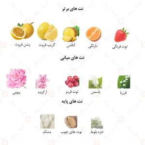 ادکلن زنانه مارکیو 167 ویکتوریا سکرت بامب شل 25 میل