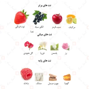 ادکلن زنانه مارکیو 206 مون اسپارکل 25 میل
