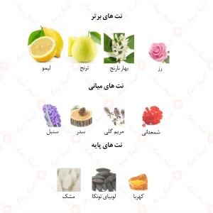 ادکلن مردانه مارکیو 210 ورساچه پورهوم 25 میل
