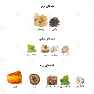 ادکلن مردانه مارکیو 160 ایفوریا