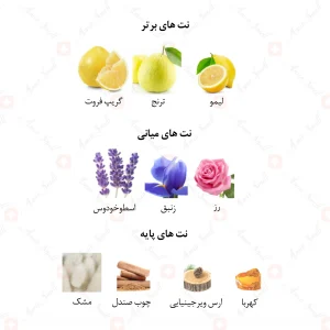 ادکلن مردانه مارکیو 173 مفیستو 25 میل