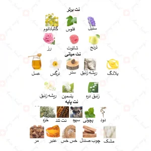 ادکلن زنانه میج نویر جانوین