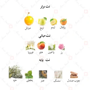 ادکلن مری کی جانوین