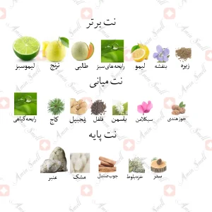 ادکلن مردانه ادونچور اریلنت جانوین
