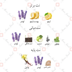 ادکلن مردانه فانتزی جانوین