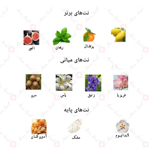 ادکلن یونیسکس اسنتریک مولکول 05 جانوین