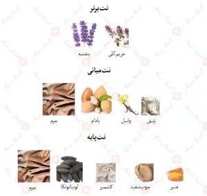 ادکلن مردانه فابولو کالکشن جانوین