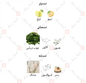 ادکلن یونیسکس اورتو پاریسی مگاماره جانوین