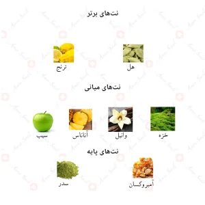 ادکلن یونیسکس انجلیک رژ جانوین