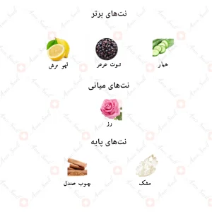 ادکلن یونیسکس آیس آنجلیک جانوین 