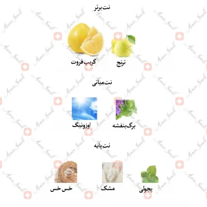 ادکلن زنانه جی اند جی اسپیشال بلو جانوین