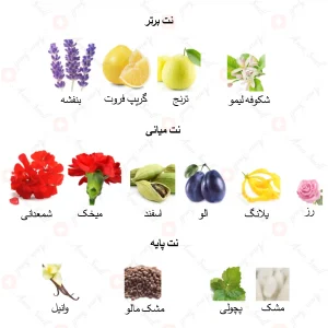 ادکلن یونیسکس کازا رجینو جانوین