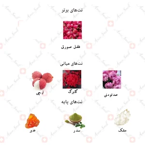 ادکلن زنانه فلور نارکوتیک پینک جانوین