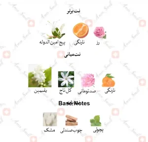 ادکلن زنانه بانبری وومن جانوین