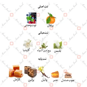 ادکلن زنانه جویس اند پینکی جانوین
