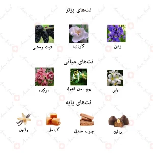 ادکلن زنانه جویس اند پینکی گلد الکسیر جانوین