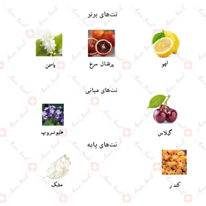 ادکلن زنانه کوئین اف جکوینز جانوین