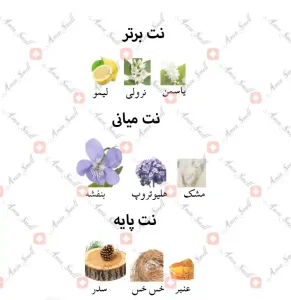 ادکلن زنانه دیسکوارد شی وود جانوین
