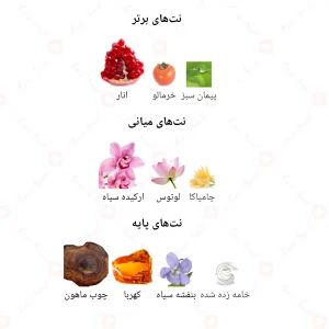 ادكلن زنانه ایو پرایو جانوین 