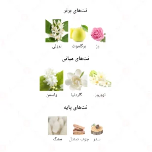 ادکلن زنانه لامبر جانوین