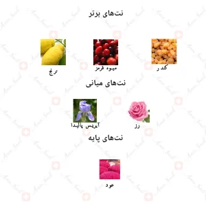 ادکلن زنانه لا بله فم گلد الکسیر جانوین