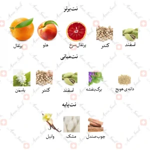 ادکلن زنانه اونلی پینک جانوین