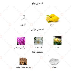 ادکلن زنانه باربری بلک جانوین