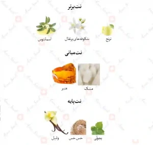 ادکلن زنانه نارسیسوس فور هر لیمیتد ادیشن جانوین