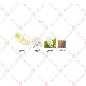 ادکلن زنانه بلک وایت جانوین