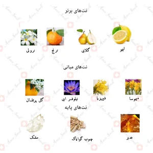 ادکلن زنانه بلوند جانوین