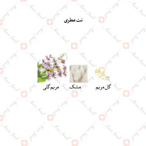 ادکلن زنانه ویکتوریا سکرت بامبشل جانوین
