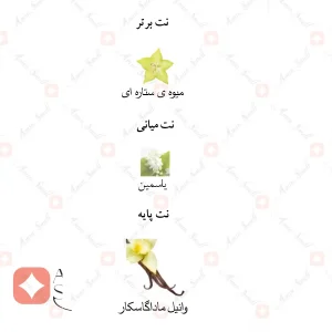 ادکلن زنانه سکرت بامب نیو استایل جانوین