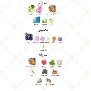 ادکلن زنانه ویکتوریا سکرت نایت جانوین