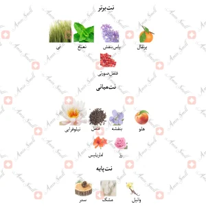 ادکلن زنانه کنزو لئو پور فمه جانوین